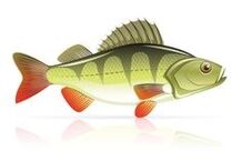 frutos do mar para pancreatite