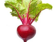 vegetais para pancreatite